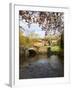 Malham Village in Autumn, Yorkshire Dales, Yorkshire, England, United Kingdom, Europe-Mark Sunderland-Framed Photographic Print