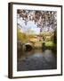 Malham Village in Autumn, Yorkshire Dales, Yorkshire, England, United Kingdom, Europe-Mark Sunderland-Framed Photographic Print