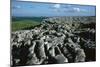 Malham, Yorkshire-CM Dixon-Mounted Photographic Print