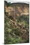 Mali, Cliff of Bandiagara-null-Mounted Giclee Print