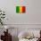 Mali Flag Design with Wood Patterning - Flags of the World Series-Philippe Hugonnard-Stretched Canvas displayed on a wall