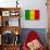 Mali Flag Design with Wood Patterning - Flags of the World Series-Philippe Hugonnard-Stretched Canvas displayed on a wall