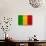 Mali Flag Design with Wood Patterning - Flags of the World Series-Philippe Hugonnard-Stretched Canvas displayed on a wall