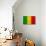 Mali Flag Design with Wood Patterning - Flags of the World Series-Philippe Hugonnard-Art Print displayed on a wall