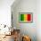 Mali Flag Design with Wood Patterning - Flags of the World Series-Philippe Hugonnard-Framed Art Print displayed on a wall