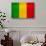 Mali Flag Design with Wood Patterning - Flags of the World Series-Philippe Hugonnard-Stretched Canvas displayed on a wall