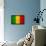 Mali Flag Design with Wood Patterning - Flags of the World Series-Philippe Hugonnard-Framed Stretched Canvas displayed on a wall