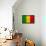 Mali Flag Design with Wood Patterning - Flags of the World Series-Philippe Hugonnard-Framed Stretched Canvas displayed on a wall