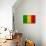 Mali Flag Design with Wood Patterning - Flags of the World Series-Philippe Hugonnard-Stretched Canvas displayed on a wall