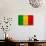 Mali Flag Design with Wood Patterning - Flags of the World Series-Philippe Hugonnard-Art Print displayed on a wall