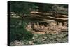 Mali, Mopti Region, Banani, Cliff of Bandiagara, Ancient Tellem Houses Carved in Rock-null-Stretched Canvas