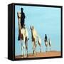 Mali Tribesman Sits on Camel, 1987-null-Framed Stretched Canvas