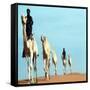 Mali Tribesman Sits on Camel, 1987-null-Framed Stretched Canvas