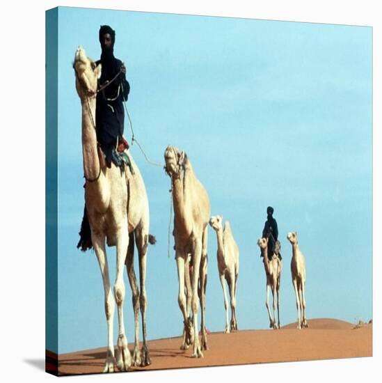 Mali Tribesman Sits on Camel, 1987-null-Stretched Canvas