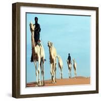 Mali Tribesman Sits on Camel, 1987-null-Framed Photographic Print