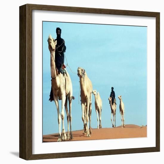Mali Tribesman Sits on Camel, 1987-null-Framed Photographic Print