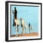 Mali Tribesman Sits on Camel, 1987-null-Framed Photographic Print