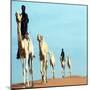 Mali Tribesman Sits on Camel, 1987-null-Mounted Photographic Print