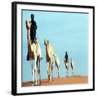 Mali Tribesman Sits on Camel, 1987-null-Framed Photographic Print