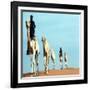 Mali Tribesman Sits on Camel, 1987-null-Framed Photographic Print