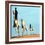 Mali Tribesman Sits on Camel, 1987-null-Framed Photographic Print