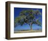 Mali-Philippe Bourseiller-Framed Art Print