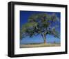 Mali-Philippe Bourseiller-Framed Art Print