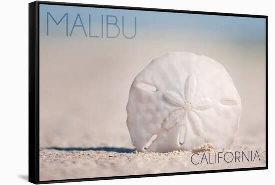 Malibu, California - Sand Dollar and Beach-Lantern Press-Framed Stretched Canvas