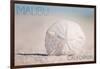 Malibu, California - Sand Dollar and Beach-Lantern Press-Framed Art Print