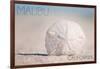 Malibu, California - Sand Dollar and Beach-Lantern Press-Framed Art Print