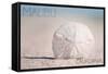 Malibu, California - Sand Dollar and Beach-Lantern Press-Framed Stretched Canvas