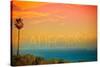 Malibu, California - Sunset and Birds-Lantern Press-Stretched Canvas