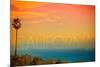 Malibu, California - Sunset and Birds-Lantern Press-Mounted Art Print