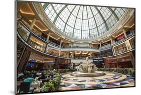 Mall of the Emirates, Dubai, United Arab Emirates-Michael DeFreitas-Mounted Photographic Print