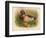 Mallard (Anas boschas), 1900, (1900)-Charles Whymper-Framed Giclee Print