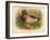 Mallard (Anas boschas), 1900, (1900)-Charles Whymper-Framed Giclee Print