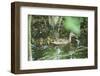 Mallard, Anas platyrhynchos, fledglings, water, sidewise, swim-David & Micha Sheldon-Framed Photographic Print