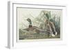 Mallard Duck, 1834-John James Audubon-Framed Giclee Print