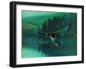 Mallard Duck-Stan Galli-Framed Giclee Print