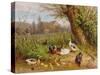 Mallard Ducks with their Ducklings-Carl Jutz-Stretched Canvas
