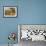 Mallard Ducks with their Ducklings-Carl Jutz-Framed Giclee Print displayed on a wall