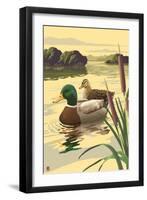 Mallard Ducks-Lantern Press-Framed Art Print