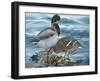 Mallard Family-Rusty Frentner-Framed Giclee Print