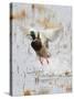 Mallard Flying, New Mexico, USA-Larry Ditto-Stretched Canvas