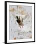 Mallard Flying, New Mexico, USA-Larry Ditto-Framed Photographic Print
