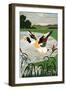 Mallard in Flight-null-Framed Art Print