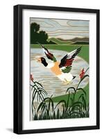 Mallard in Flight-null-Framed Art Print