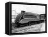 Mallard Locomotive-null-Framed Stretched Canvas