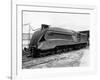 Mallard Locomotive-null-Framed Photographic Print