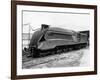 Mallard Locomotive-null-Framed Photographic Print